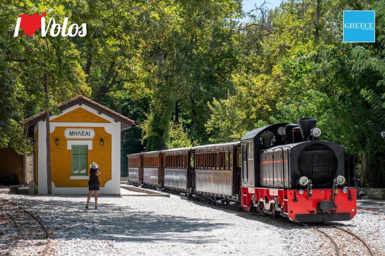 Στούντιο Στο Κέντρο Της Πόλης. Lägenhet Volos Exteriör bild